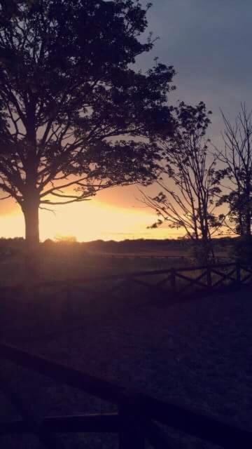 Villa Holywell Grange Farm Whitley Bay Esterno foto